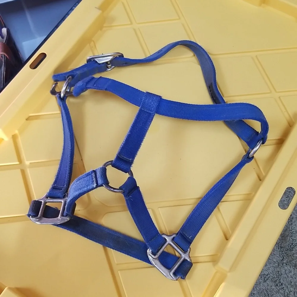 🐴ADJUSTABLE HORSE HALTER - Picture 1 of 8